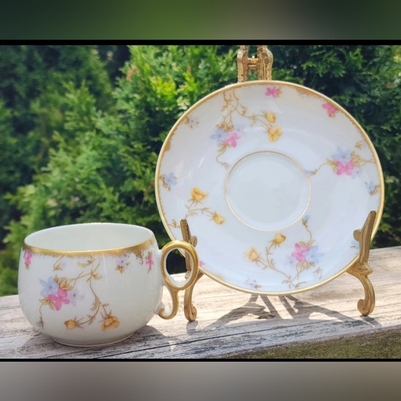 Limoges France BAWO & DOTTER Cup and Saucer - Picture 1 of 14